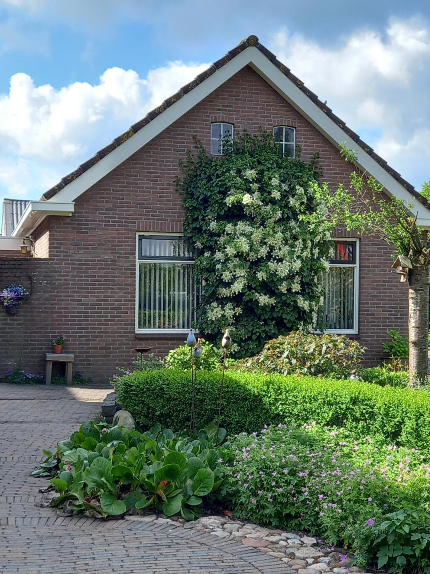 B&B Kleintje Eleveld Exteriér fotografie